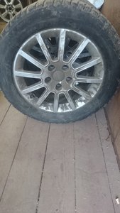 DSC_1186.JPG