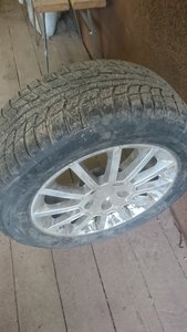 DSC_1242.JPG