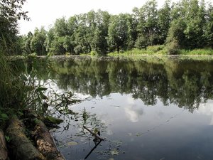 речка-2.JPG