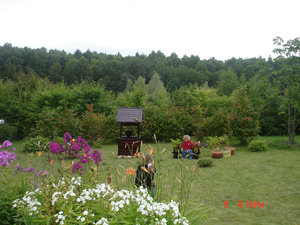 DSC05415-s.jpg