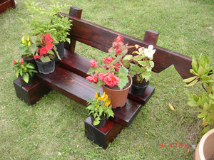 DSC05422-s.jpg