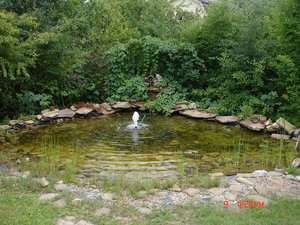 DSC05441-s.jpg