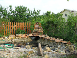 pond-s.jpg