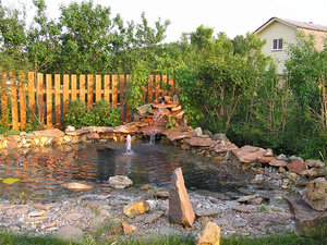 pond2-s.jpg