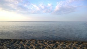 WP_20180730_06_39_19_Pro.jpg
