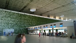 WP_20180814_18_48_12_Pro.jpg