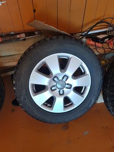 20180618_175258.jpg