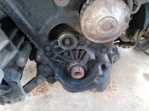 d9f1bd4s-960.jpg