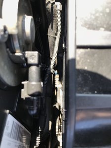 IMG_1328.jpeg