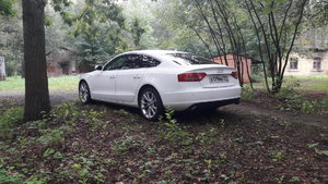 20180816_100432.jpg
