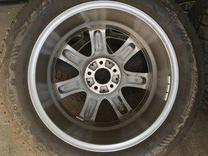 IMG_9555.JPG
