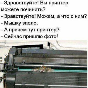 FE5BA47D-1502-4AAF-ADDD-794458956349.jpeg