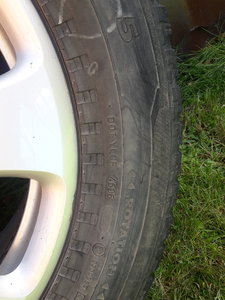 20180823_105247.jpg