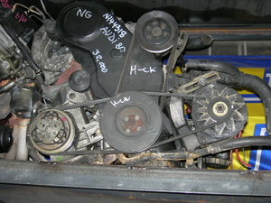 DSCN0810.JPG