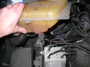 IMG_6984.JPG