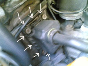 05012006.jpg