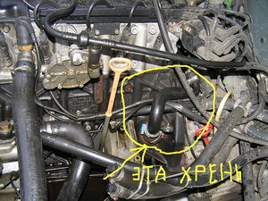 P1200013r.jpg