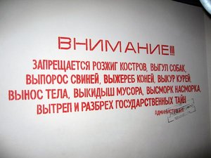 IMG_0559.jpg