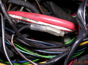 DSCN4473.jpg