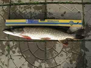 IMG_1637.JPG