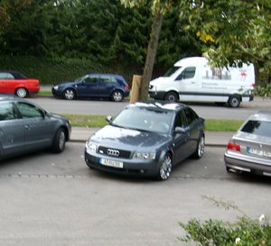 SL278224.JPG