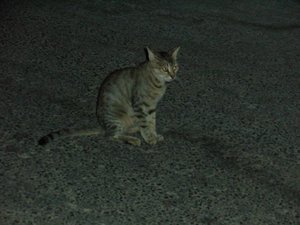 P9050099.JPG