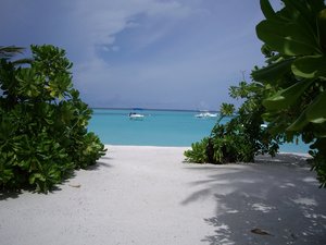 IMGP2103s.JPG