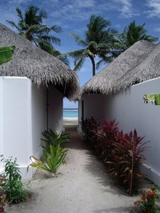 IMGP2417s.JPG