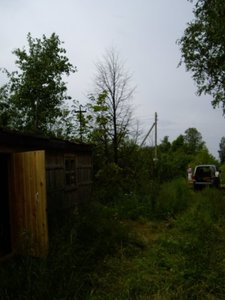 x_d96a2272.jpg