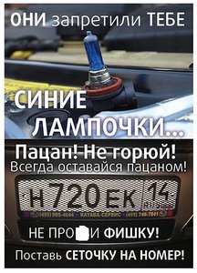 10080928.JPG