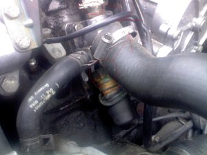 mot.JPG