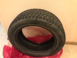 IMG_8307.jpg