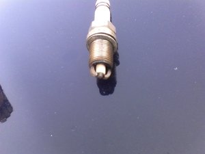 IMG_20181018_141128.jpg
