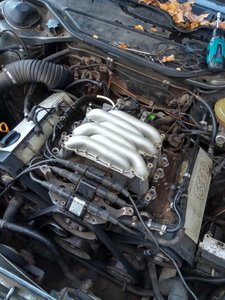 IMG_20181028_162905_HDR.jpg
