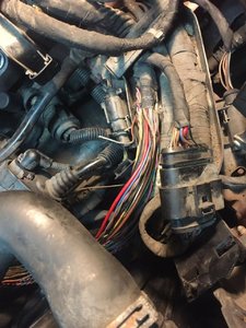 IMG-20181026-WA0000.jpg