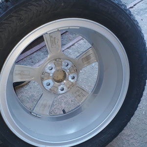 20181112_093255.jpg