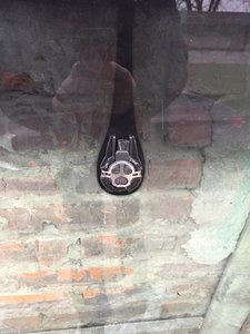 IMG_1446.JPG
