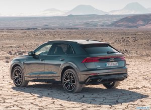 audi_2019_q8_088.jpg