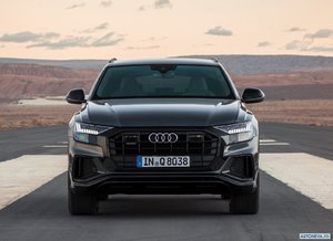 audi_2019_q8_122.jpg