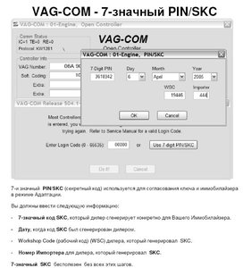 vag-immo.JPG