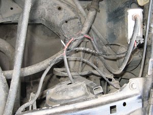IMG_5707_1.jpg