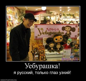 771584_ueburashka.jpg