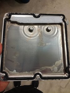 aaaaaaaaaaaaaa.jpg