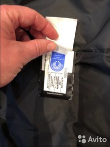 5092494532.jpg