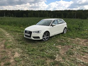 IMG_0203.jpeg