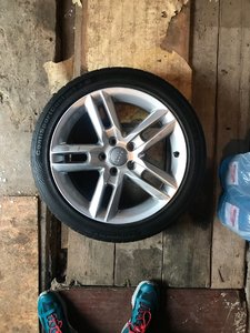 IMG_2696.jpeg