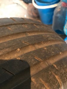 IMG_2698.jpeg
