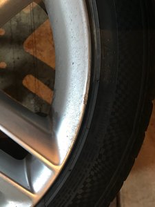 IMG_2701.jpeg