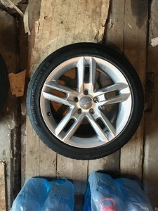 IMG_2702.jpeg