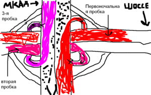 ломодрмодамдомдопд.GIF